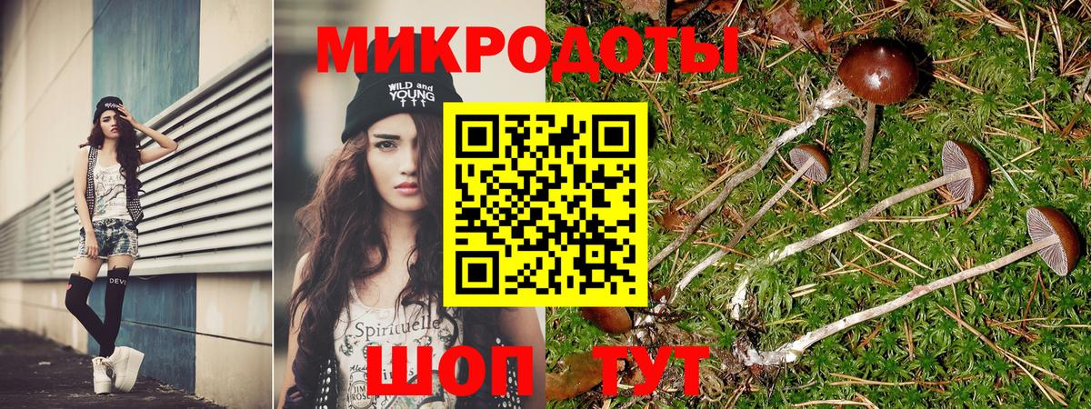 Солнечногорск  Псилоцибиновые грибы Magic Shrooms  даркнет сайт  Вход с VPN 